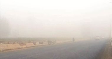 الشبورة المائية تغطي طريق الإسكندرية الزراعي صباح اليوم.. صور