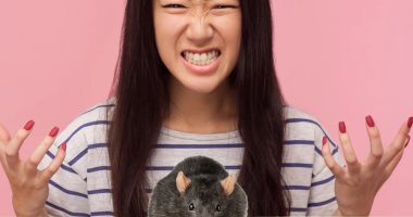 البادى أظلم.. طالبة صينية تعض فأرًا عضها وصدمة كبيرة على السوشيال ميديا