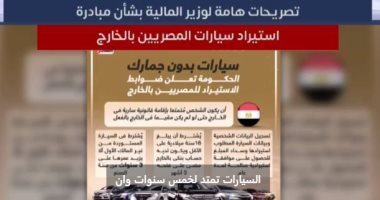 ماذا قال وزير المالية عن مبادرة تيسير استيراد سيارات المصريين بالخارج؟ فيديو