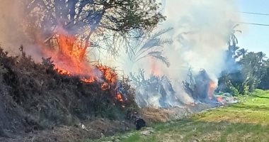 السيطرة على حريق بهيش فى قرية كسفريت بالإسماعيلية.. صور