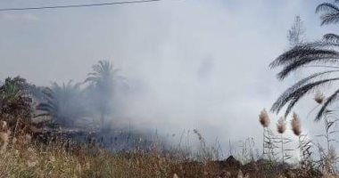 السيطرة على حريق شب فى هيش فى قرية المنايف بالإسماعيلية دون خسائر بشرية