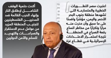 مصر تُعرب عن قلقها البالغ إزاء الغارات على مواقع باليمن.. إنفوجراف