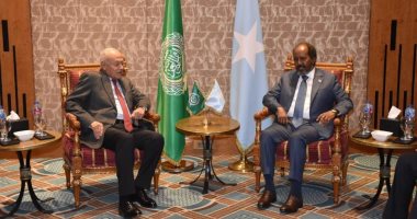 أبو الغيط يلتقى الرئيس الصومالى ويؤكد دعم الجامعة العربية لمقديشو 