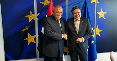 مسؤول أوروبى: إجماع بالاتحاد الأوروبى لرفع العلاقات مع مصر لشراكة شاملة