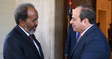 نواب: لقاء الرئيس السيسي ونظيره الصومالى يؤكد موقف مصر التاريخى لدعم القارة