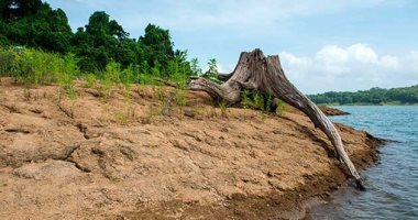 بنما تواجه تحدى جفاف القناة مع خسائر اقتصادية تصل إلى 800 مليون دولار