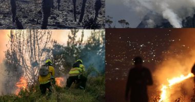 كولومبيا تحاول السيطرة على 31 حريقا نشطا وتطلب المساعدات.. فيديو