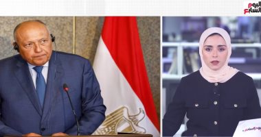 تفاصيل الاتصال بين سامح شكرى و"الأونروا" حول دعم مصر للوكالة.. فيديو 