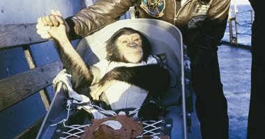 زي النهارده.. صعد الشمبانزى "هام" بصاروخ ريدستون للفضاء لأول مرة 31 يناير 1961