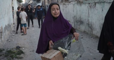 الراحمون يرحمهم الله.. فتاة فلسطينية تهرب من القصف وتنقذ عصفورها معها