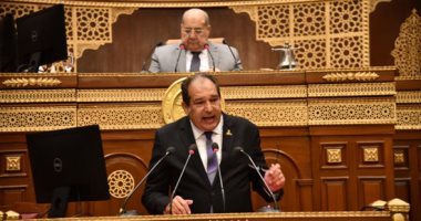 حسام الخولى بالجلسة العامة للشيوخ: يجب على كل مصرى التفكير فى كيفية زيادة الصادرات