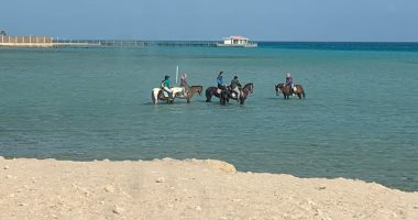 رواج سياحى لركوب الخيول على الشواطئ والرحلات البحرية على الجزر.. فيديو