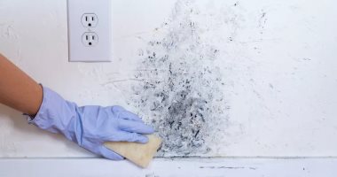 دليلك لتنظيف عفن الجدران بطريقة آمنة وفي خطوات سهلة