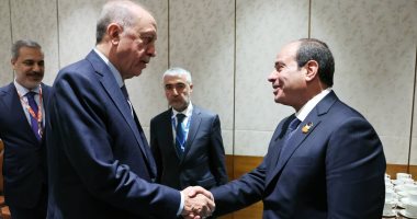أستاذ علوم ساسية: زيارة أردوغان تأسيس جديد لعلاقات دولية بين مصر وتركيا