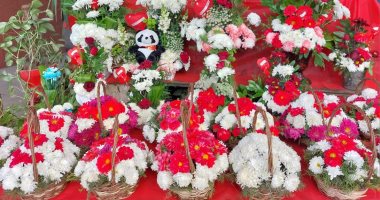   عم خالد 25 سنة في بيع الزهور: "الورد الأحمر" يتربع على عرش هدايا عيد الحب