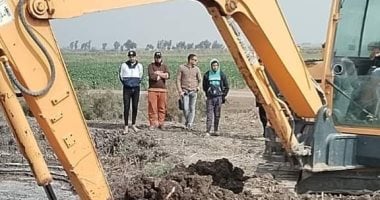 إزالة 10 حالات تعد لمزارع سمكية مخالفة على مساحة 50 فدانا ببورسعيد