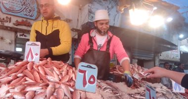 إقبال كثيف على شراء الأسماك بأسواق دمياط.. فيديو وصور