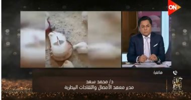 معهد الأمصال البيطرية: اللقاح المصري للدواجن متوفر وبعض المربين يفضلون المستورد