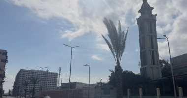طقس شتوى معتدل وهبوب للرياح في بورسعيد.. فيديو وصور 