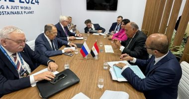 وزير الخارجية يلتقى لافروف على هامش اجتماع وزراء خارجية "العشرين" بالبرازيل