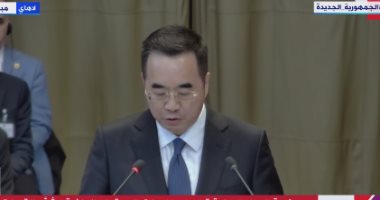 ممثل الصين بالعدل الدولية داعما فلسطين: الكفاح ضد الاستعمار ليس إرهابا