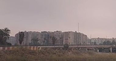سقوط أمطار وغيوم على مناطق متعددة بمحافظة أسيوط.. فيديو