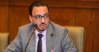نائب بخارجية النواب: إنجازات الرئيس السيسى بوابة مصر للجمهورية الجديدة