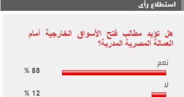 88% من القراء يطالبون بفتح أسواق خارجية أمام العمالة المصرية المدربة