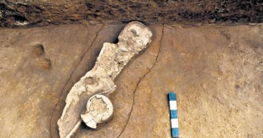 العثور على قبر طفل يعود تاريخه للعصر الحجري الحديث في الهند.. اعرف قصته