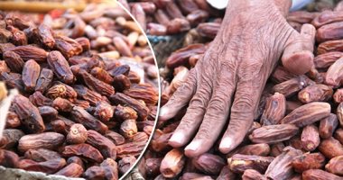 البلح يزين أسواق أسوان قبل رمضان.."الملكابى" الأكثر إقبالا و"السكوتى" ذو شعبية كبيرة.. المواطنون يصنعون "الخشاف" من الأصناف الجافة.. ويفضله الصائمون على موائد الإفطار.. والمحافظة تنتج 102 ألف طن سنويا.. صور