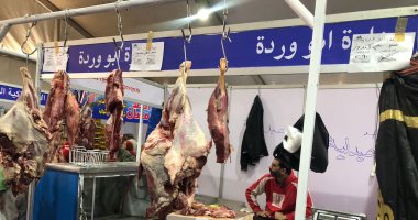 انخفاض أسعار الدواجن واللحوم فى الأسواق ومعارض أهلا رمضان بالجيزة