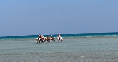 شاهد.. استمتاع السياح خلال رحلات ركوب الخيول فى البحر بالغردقة.. فيديو