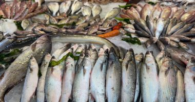 أنواع الأسماك بسوق بورسعيد الحضارى في ثالث أيام شهر رمضان.. فيديو وصور