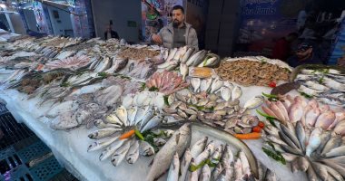 منع تداول الأسماك فى محال ومطاعم البحر الأحمر بدءا من اليوم