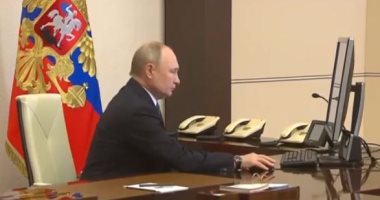 بوتين ولوكاشينكو يبحثان هاتفيا تعزيز الشراكة الاستراتيجية بين البلدين