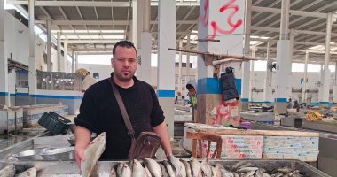 رزق البحر أشكال وألوان.. جولة في سوق الأسماك بالإسماعيلية "فيديو وصور"  