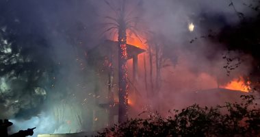 السيطرة على حريق نشب في أشجار داخل إدارة القنطرة غرب الزراعية.. صور