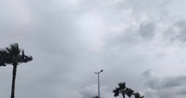 غيوم ونشاط لحركة الرياح ثاني أيام نوة الشمس الكبرى بالإسكندرية.. فيديو 