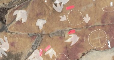 العثور على مجموعة من النقوش الصخرية بجانب آثار الديناصورات فى البرازيل