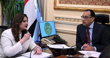 الحكومة: تطوير تطبيق إلكترونى للمصريين بالخارج يضم محفزات استثمارية