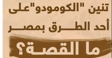 فيديو صراع تنين "الكومودو" على أحد الطرق في مصر.. ما القصة؟
