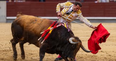 إسبانيا تلغى الجائزة الوطنية لمصارعة الثيران