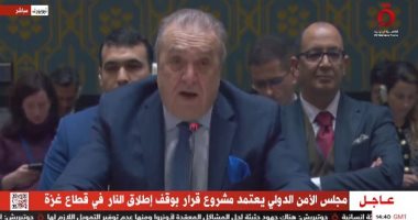 مندوب الجزائر فى مجلس الأمن: حمام الدم استمر فى غزة بأشكال بشعة
