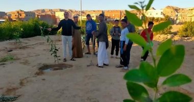 زراعة جنوب سيناء: 1000 شتلة ضمن مبادرة ١٠٠ مليون شجرة بأبوزنيمة