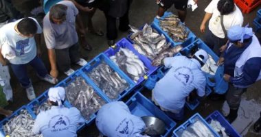 ارتفاع أسعار الأسماك والمأكولات البحرية فى بيرو بسبب الاحتفال بعيد الفصح