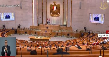 برلماني: كلمة الرئيس السيسي فى حفل التنصيب "تاريخية" 