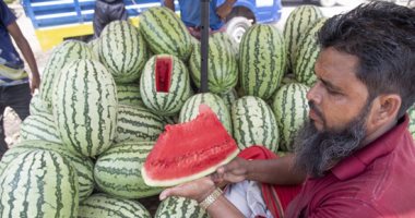 موسم نضج الثمار.. محصول البطيخ ينعش أسواق بنجلاديش