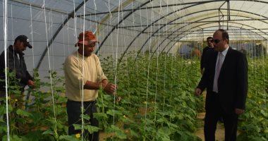 جامعة العريش تنفذ خطة تحقيق الأمن الغذائي  وتطبيق تقنيات الزراعة الحديثة