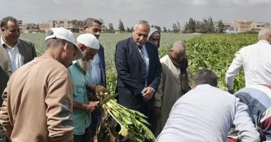 زراعة الغربية تنظم حقل ارشادى لمحصول بنجر السكر بقرية أميوط بقطور 