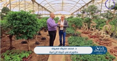 واحدة من أكبر مزارع الشرق الأوسط.. أسرار النبات هتعرفها فى "باب رزق".. فيديو